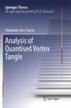 Analysis of Quantised Vortex Tangle