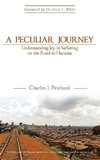 A Peculiar Journey