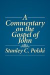 A Commentary on the Gospel of John