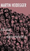 Essays in Metaphysics