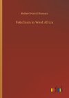 Fetichism in West Africa