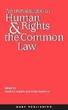 Introduction to Human Rights and the Common Law