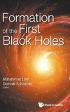 Formation of the First Black Holes