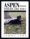 Aspen-Where Are You?