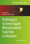 Techniques to Investigate Mitochondrial Function in Neurons