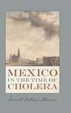 Stevens, D:  Mexico in the Time of Cholera