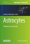 Astrocytes