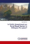 Is Public Investment on Rural Road Sector in Ethiopia Pro-poor?
