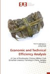 Economic and Technical Efficiency Analysis