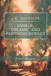 Angels, Dreams, and Partridgeberries
