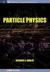 Particle Physics