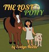 The lost pony