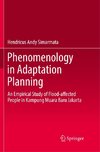 Phenomenology in Adaptation Planning