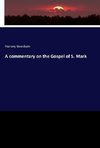 A commentary on the Gospel of S. Mark