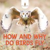 How and Why Do Birds Fly