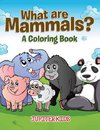 What are Mammals? (A Coloring Book)