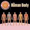 3rd Grade Science The Human Body | Textbook Edition