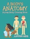 A Body's Anatomy