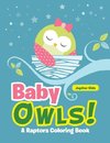 Baby Owls! A Raptors Coloring Book