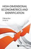 High Dimensional Econometrics and Identification