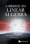 A Bridge to Linear Algebra
