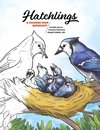 Hatchlings