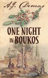 One Night in Boukos