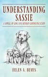 Understanding Sassie