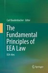 The Fundamental Principles of EEA Law