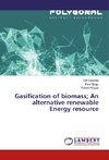Gasification of biomass; An alternative renewable Energy resource