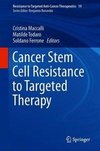 Cancer Stem Cell Resistance to Targeted Therapy