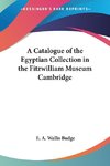 A Catalogue of the Egyptian Collection in the Fitzwilliam Museum Cambridge