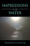 Impressions in the Water