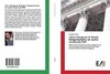 L'Arco d'Augusto di Rimini: fotogrammetria ed analisi strutturale FEM