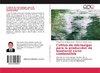 Cultivo de microalgas para la producción de bioetanol como combustible