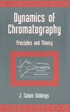 Dynamics of Chromatography