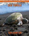 Sea Turtle: Amazing Pictures & Fun Facts on Animals in Nature