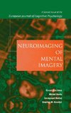 Neuroimaging of Mental Imagery