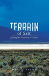 Terrain of Salt