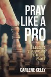 Pray Like A Pro