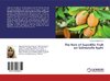 The Role of Sapodilla Fruit on Salmonella typhi