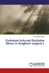 Cadmium Induced Oxidative Stress in Sorghum vulgare L