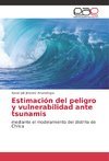 Estimación del peligro y vulnerabilidad ante tsunamis