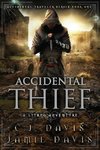 Accidental Thief