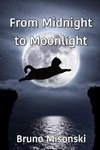 From Midnight to Moonlight