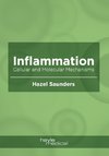 Inflammation
