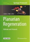 Planarian Regeneration
