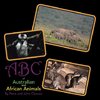 Abc of Australian and African Animals