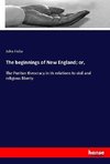 The beginnings of New England; or,