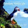 Draw Your Own Encyclopaedia Hebridean Marine Life